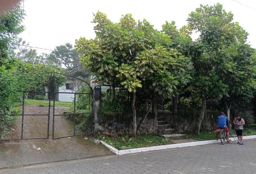 호스텔 Loren S House