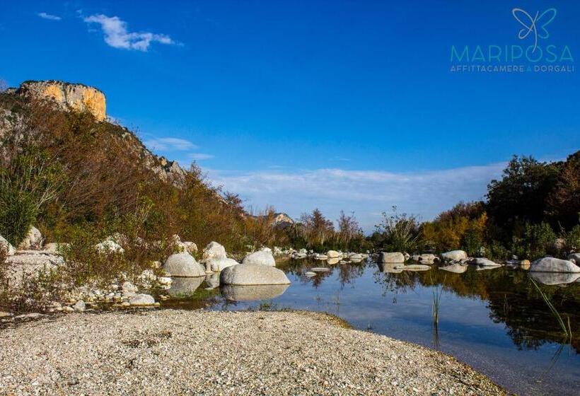 مبيت وإفطار Affittacamere Mariposa