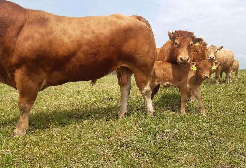 צימר Aussichtsbauernhofpension Hof Gretchens