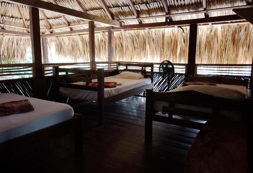 تختخواب و صبحانه Bonita Hostel