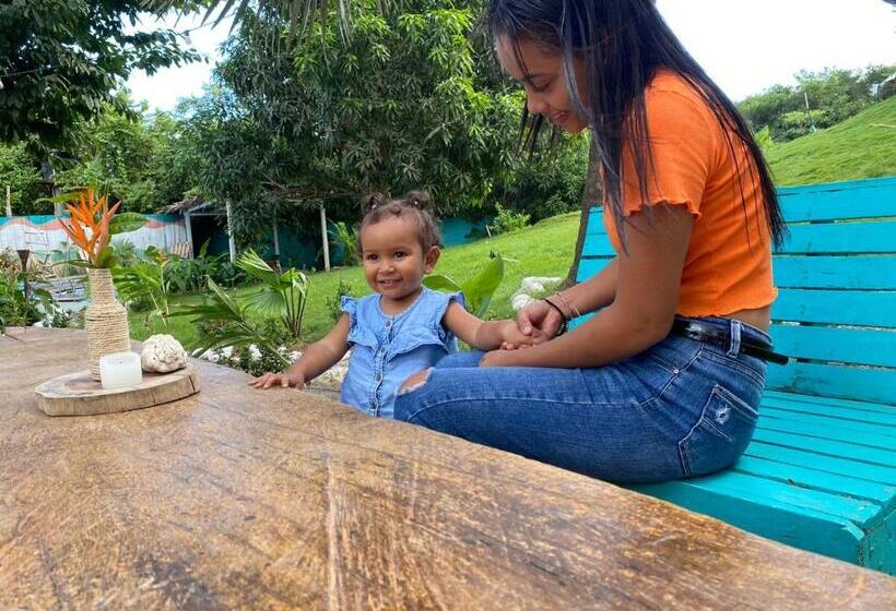 تختخواب و صبحانه Bonita Hostel