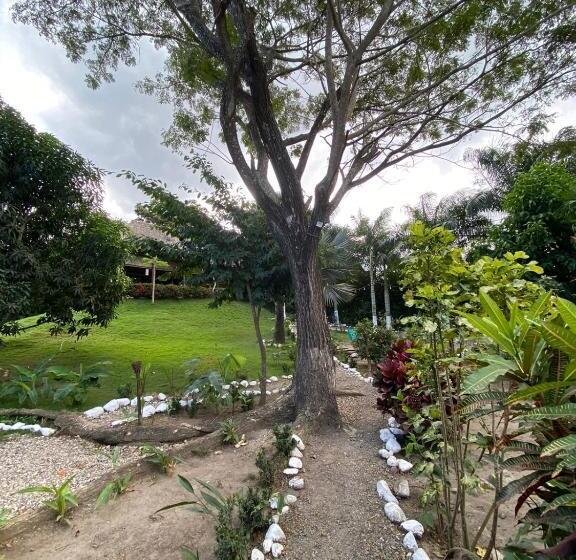 تختخواب و صبحانه Bonita Hostel