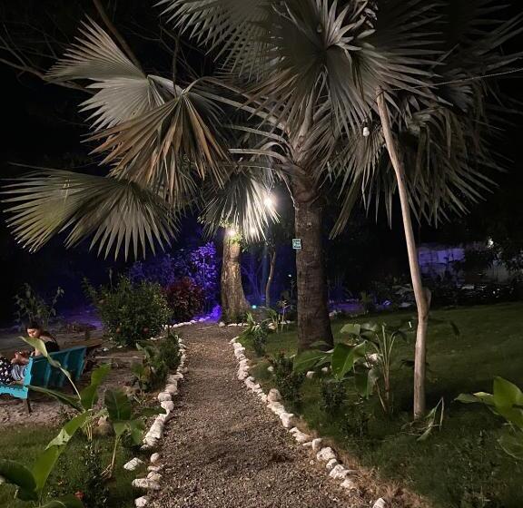 تختخواب و صبحانه Bonita Hostel