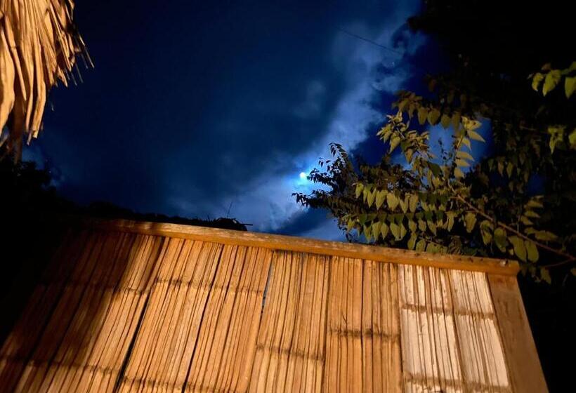 住宿加早餐  Bonita Hostel