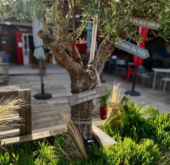 تختخواب و صبحانه La Cabane Bohème, Maison D Hôtes Bassin D Arcachon