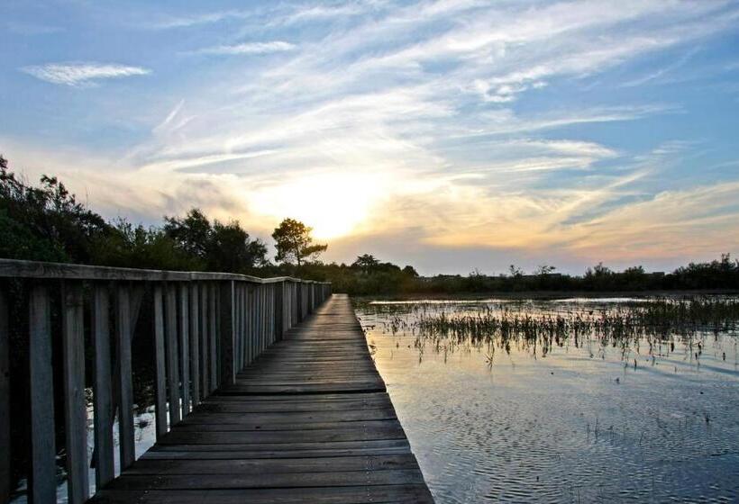تختخواب و صبحانه La Cabane Bohème, Maison D Hôtes Bassin D Arcachon