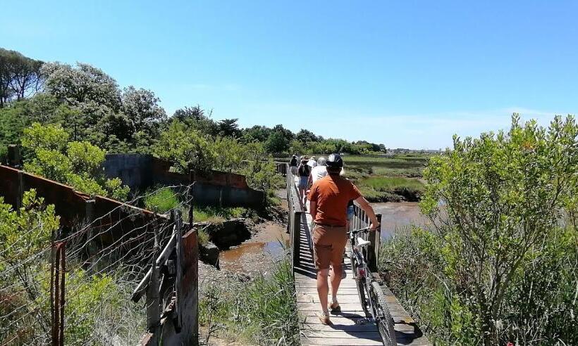 تختخواب و صبحانه La Cabane Bohème, Maison D Hôtes Bassin D Arcachon