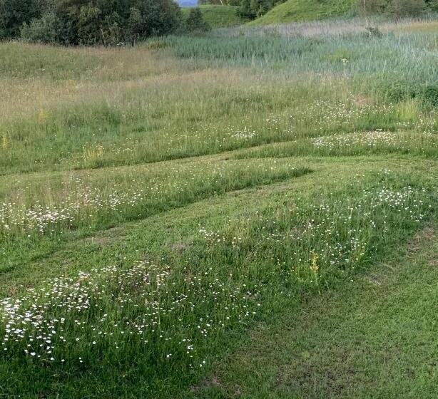 住宿加早餐 Le Chalet De Plainpalais