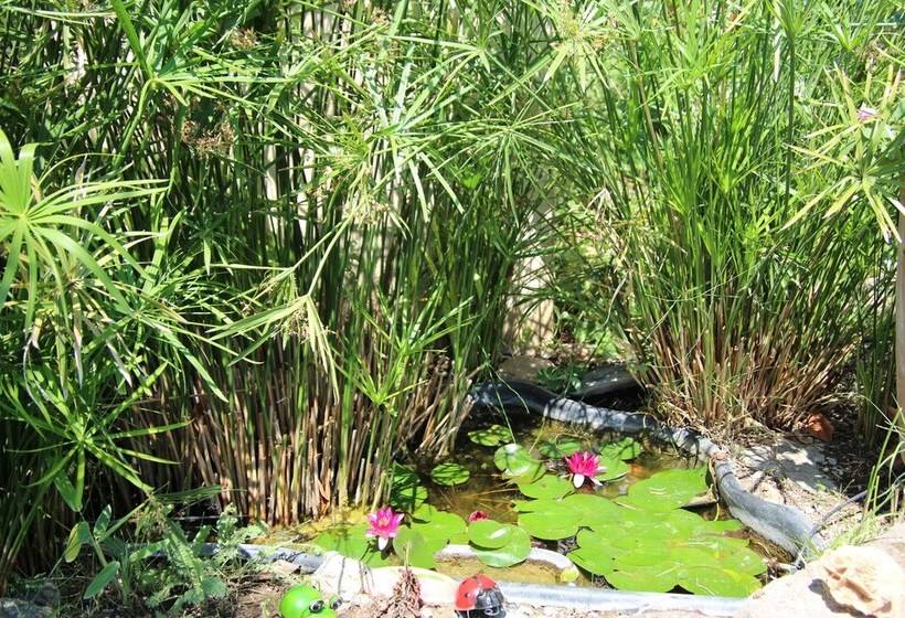 住宿加早餐  Le Mas Cothy En Provence