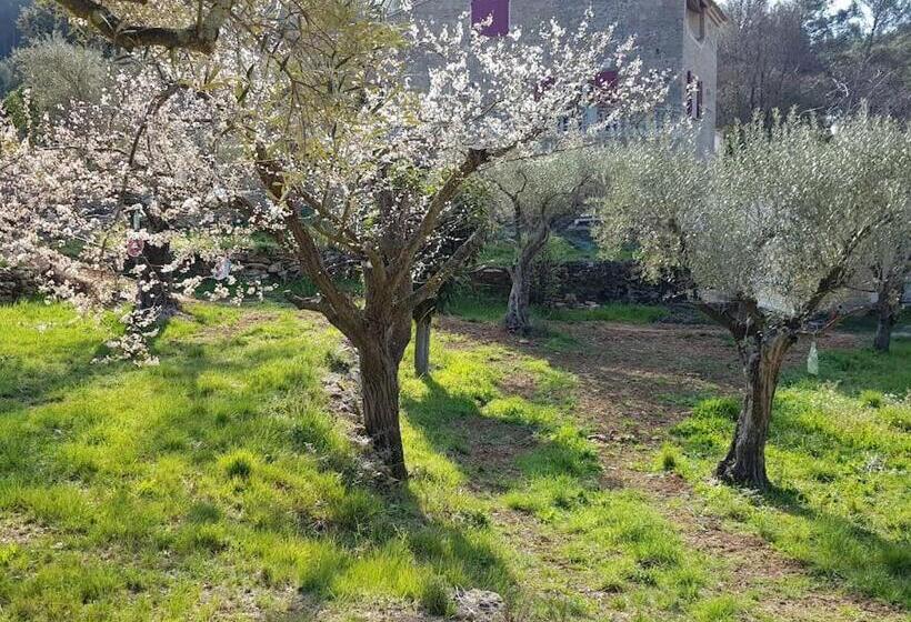 住宿加早餐 Mas Des Rochers Romance Tropicale