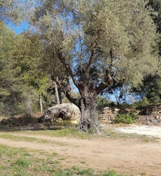 住宿加早餐 Mas Des Rochers Romance Tropicale