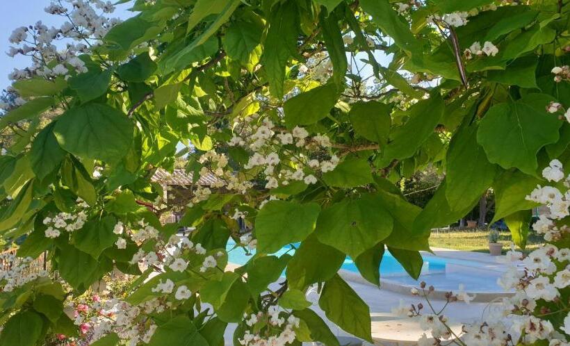 住宿加早餐 Mas Des Rochers Romance Tropicale