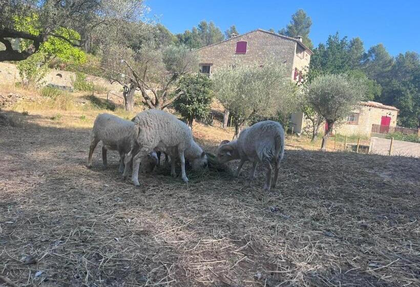 住宿加早餐 Mas Des Rochers Romance Tropicale