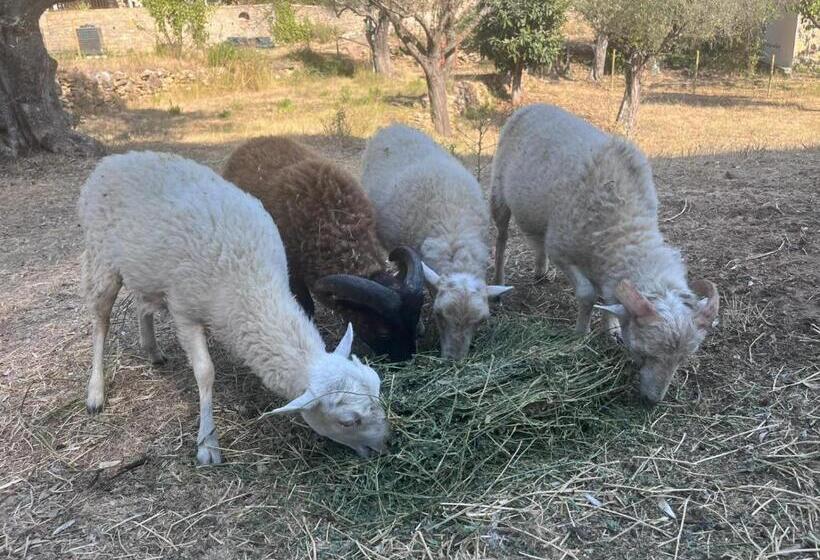 住宿加早餐 Mas Des Rochers Romance Tropicale