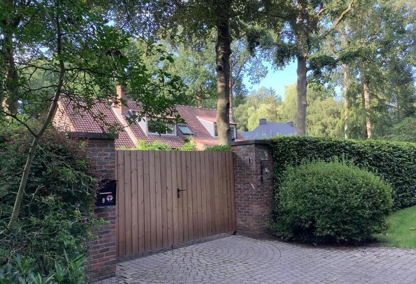 צימר T Greefsch Geluck