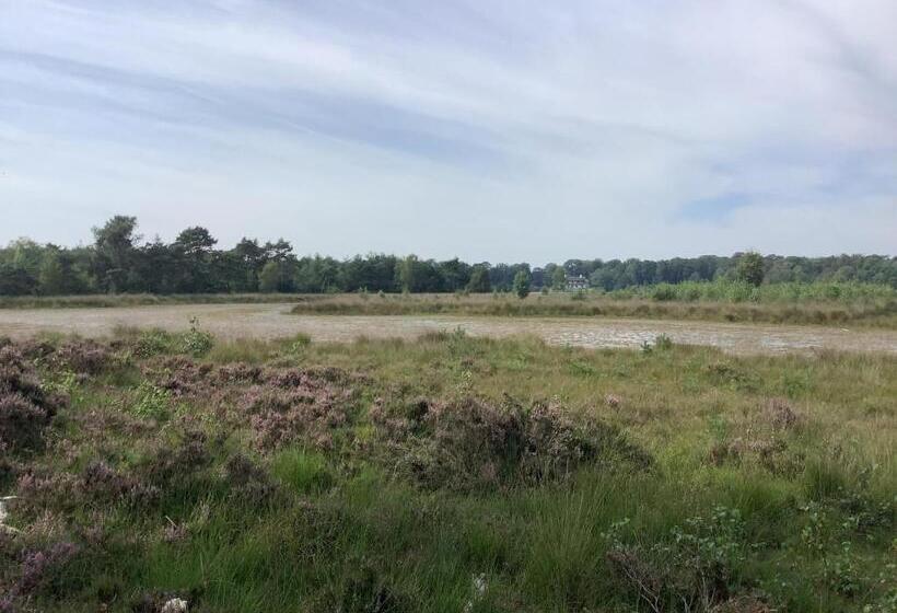 צימר T Greefsch Geluck