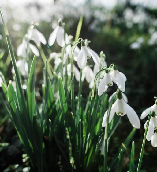 ベッドアンドブレックファースト The Naight House