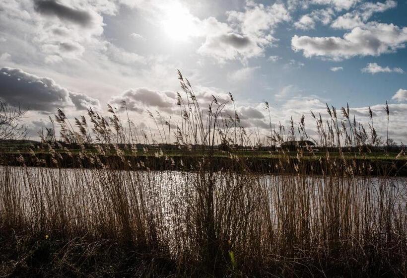 ベッドアンドブレックファースト The Naight House