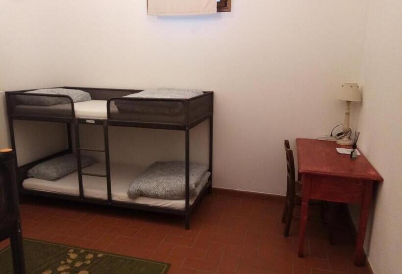 Bed and Breakfast Walkandrace