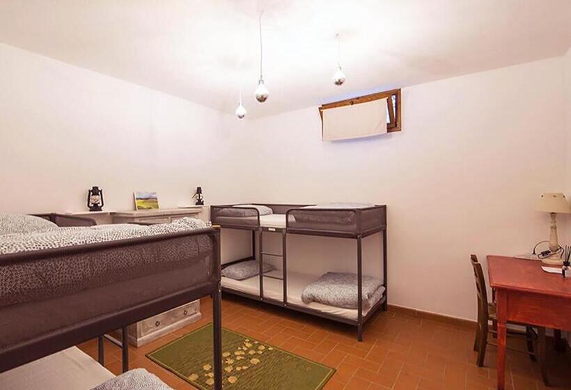 Bed and Breakfast Walkandrace