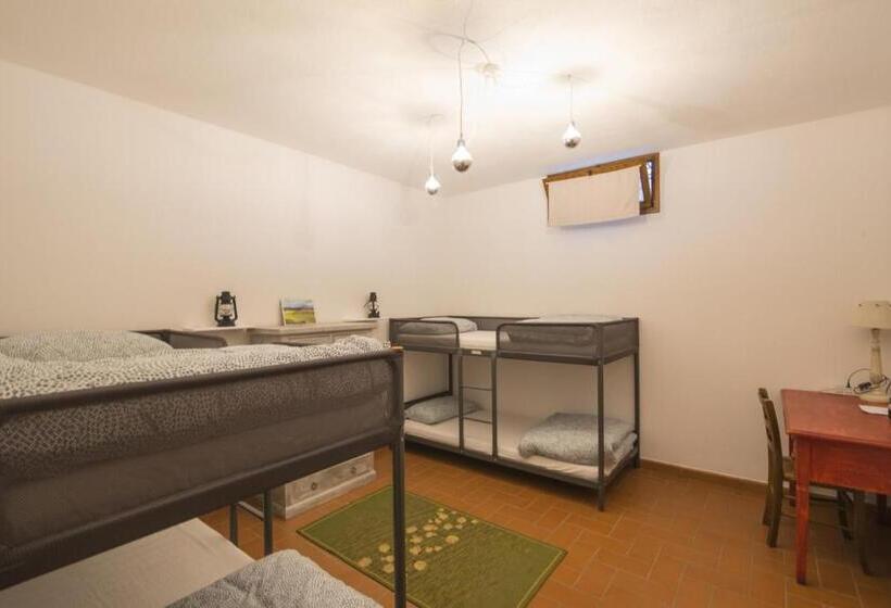 Bed and Breakfast Walkandrace