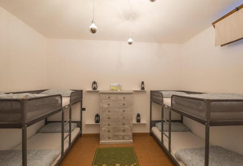 Bed and Breakfast Walkandrace