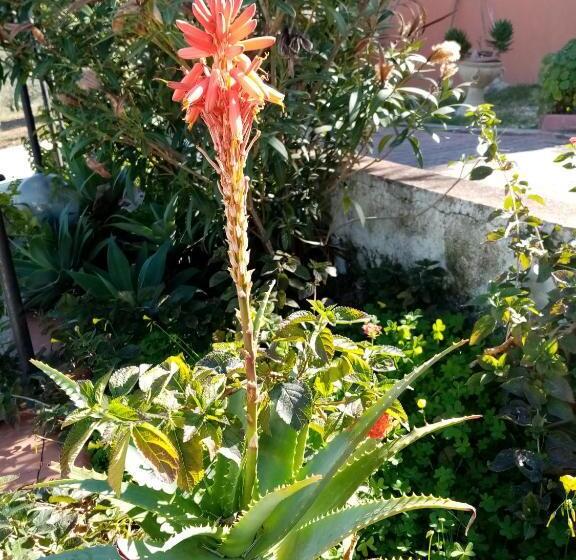 Casa Vacanze Villa Angela Con Piscina House Country Per 8 Persone