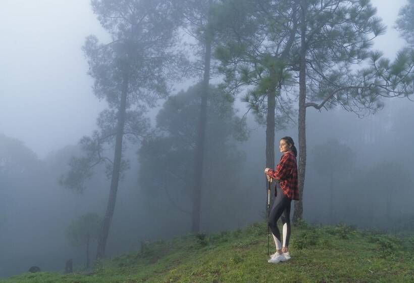 Cassia Resort, Kasauli