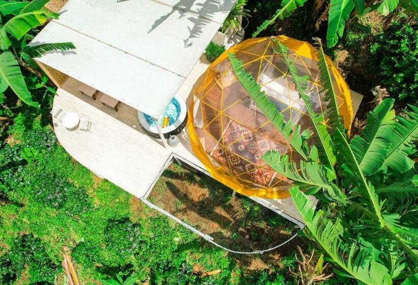 בית מלון כפרי Bajo El Cielo Glamping San Francisco