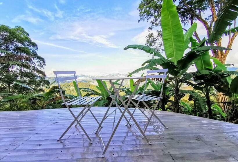 בית מלון כפרי Bajo El Cielo Glamping San Francisco