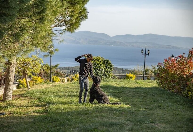 בית מלון כפרי Casa Galini