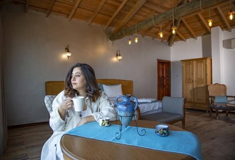 בית מלון כפרי Casa Galini