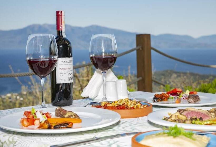 בית מלון כפרי Casa Galini