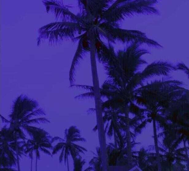 Отель Costa Belle