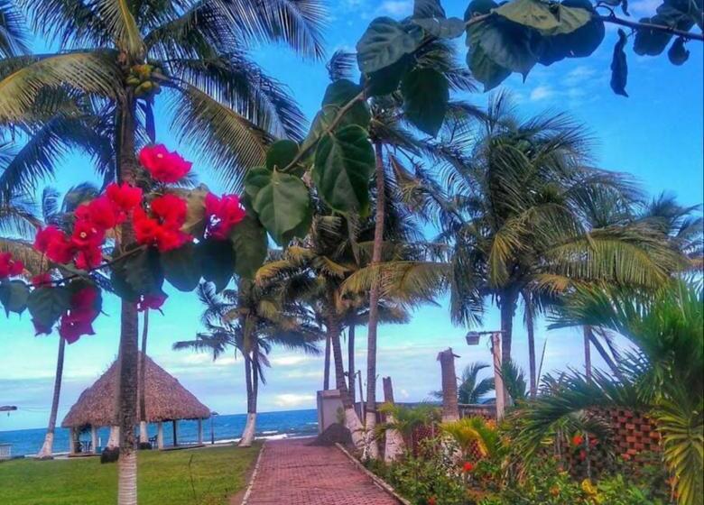 Отель Costa Belle