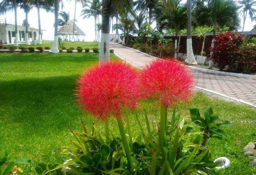 Отель Costa Belle