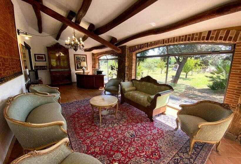 Отель Villa Silvana