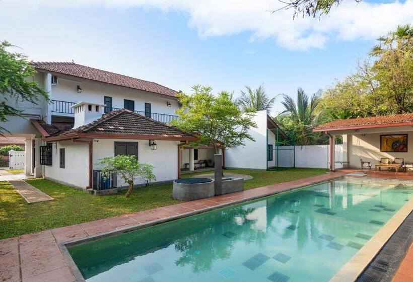 酒店 Jetwing Mahesa Bhawan