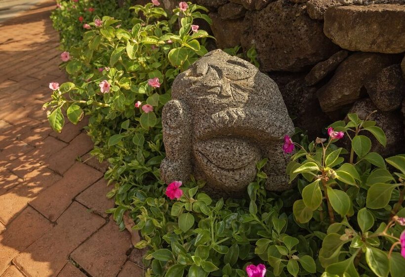 فندق Ohana Rapa Nui