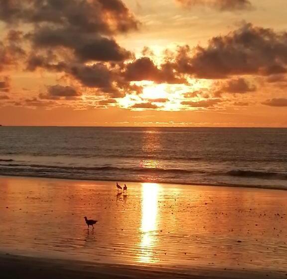 Отель Ostional River