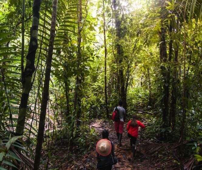 Отель Ostional River