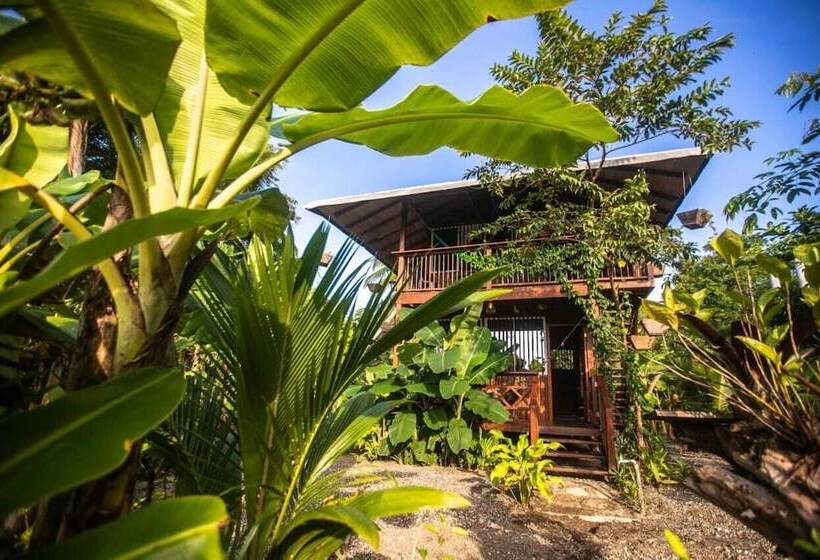 Отель Ostional River