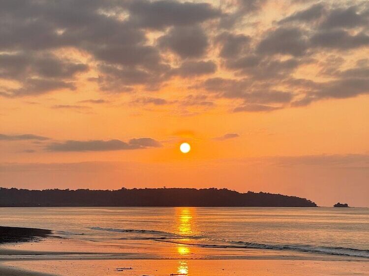 Отель Ostional River