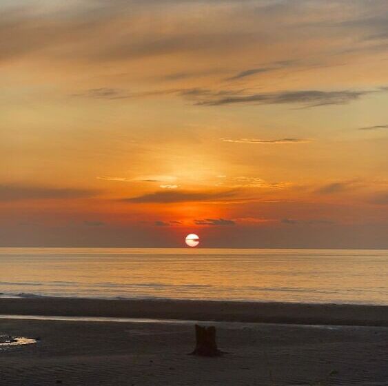 Отель Ostional River