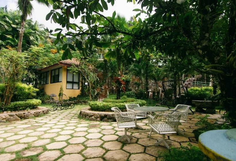 בית מלון כפרי Palm Grove Hot Springs And Mountain Resort