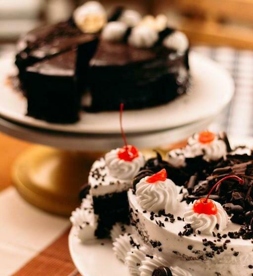 Отель Palm Grove Hot Springs And Mountain Resort