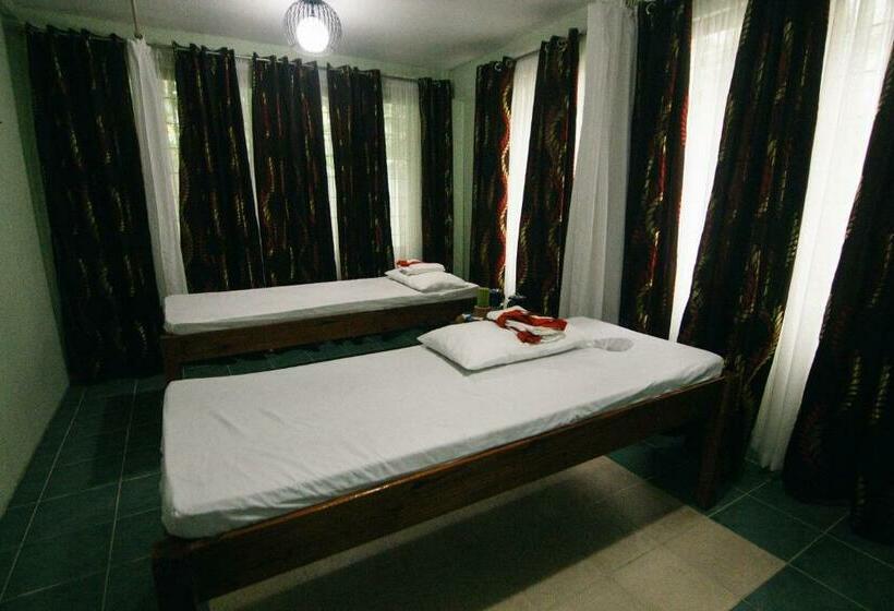 ホテル Palm Grove Hot Springs And Mountain Resort