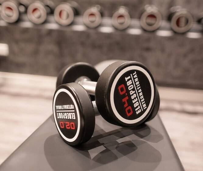 호텔 Plaza Premium Heidelberg