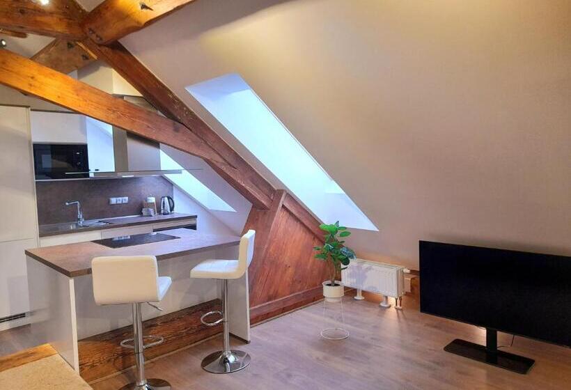 فندق Residence Mariánská