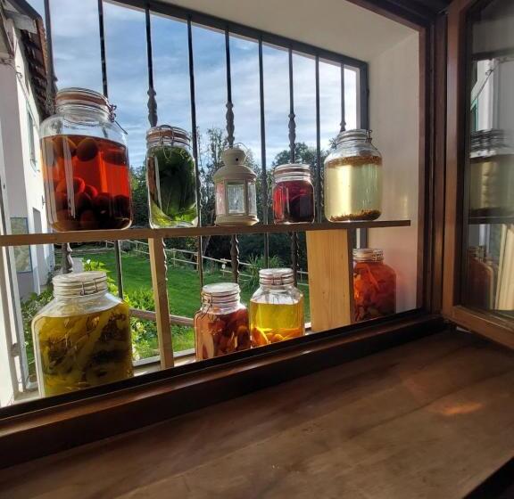 בית מלון כפרי Rifugio Fornas